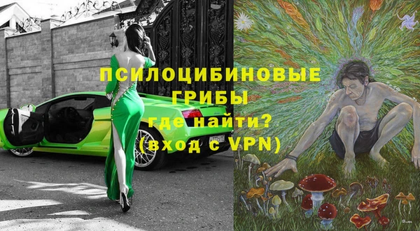 PSILOCYBIN Карталы