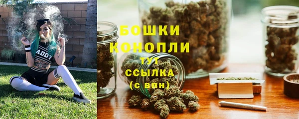 PSILOCYBIN Карталы